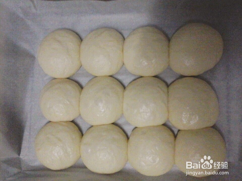 爽脆可口的面粉牛奶蜂蜜餐包