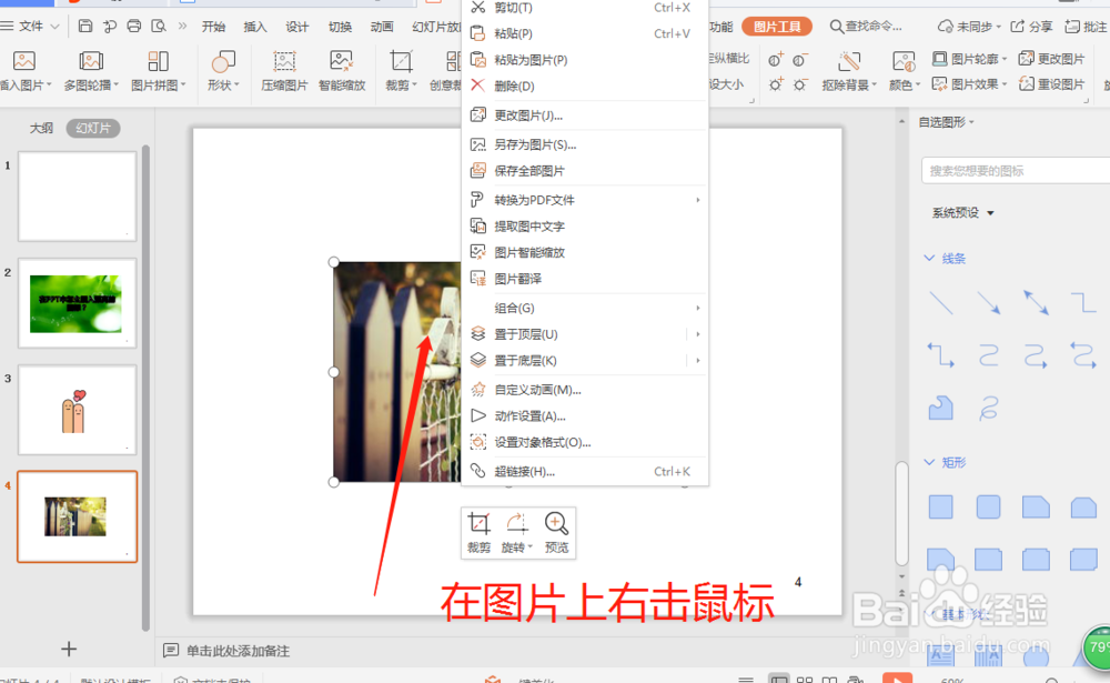 在PPT中怎么把图片裁剪成不同的形状？