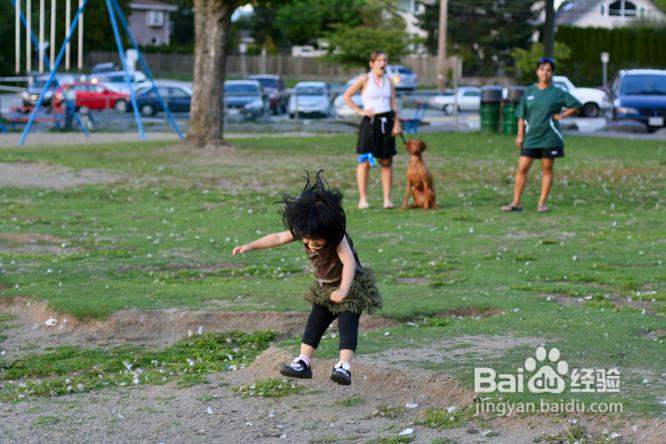温哥华鹿湖Deer Lake 黄昏漫步(组图)