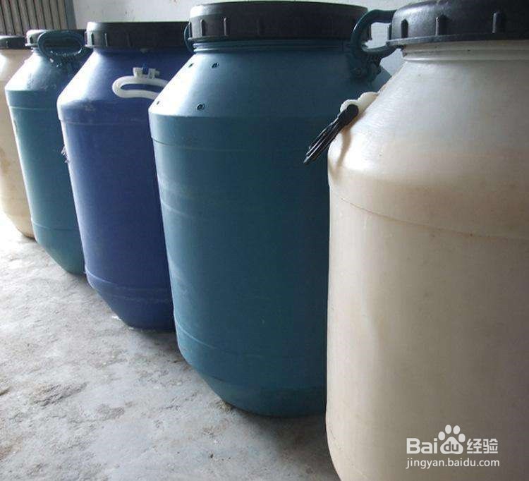 头发老是掉头屑怎么办