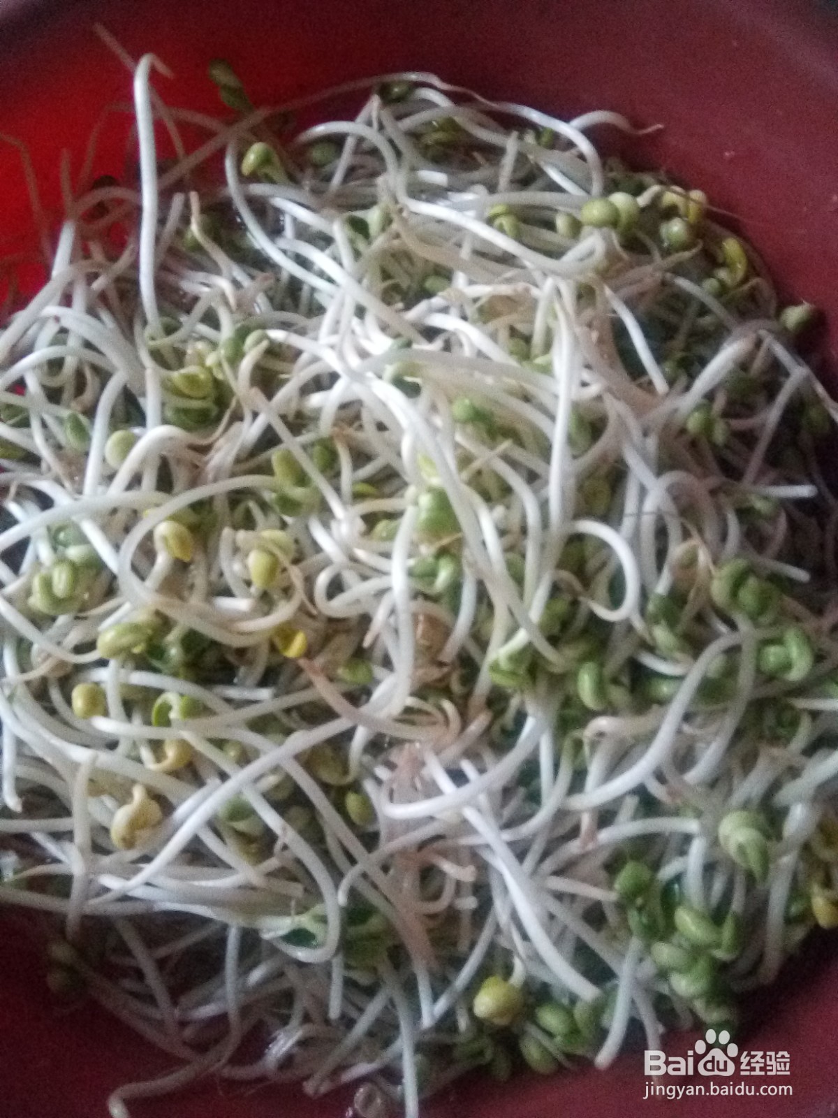 凉拌菜胡萝卜丝拌豆芽