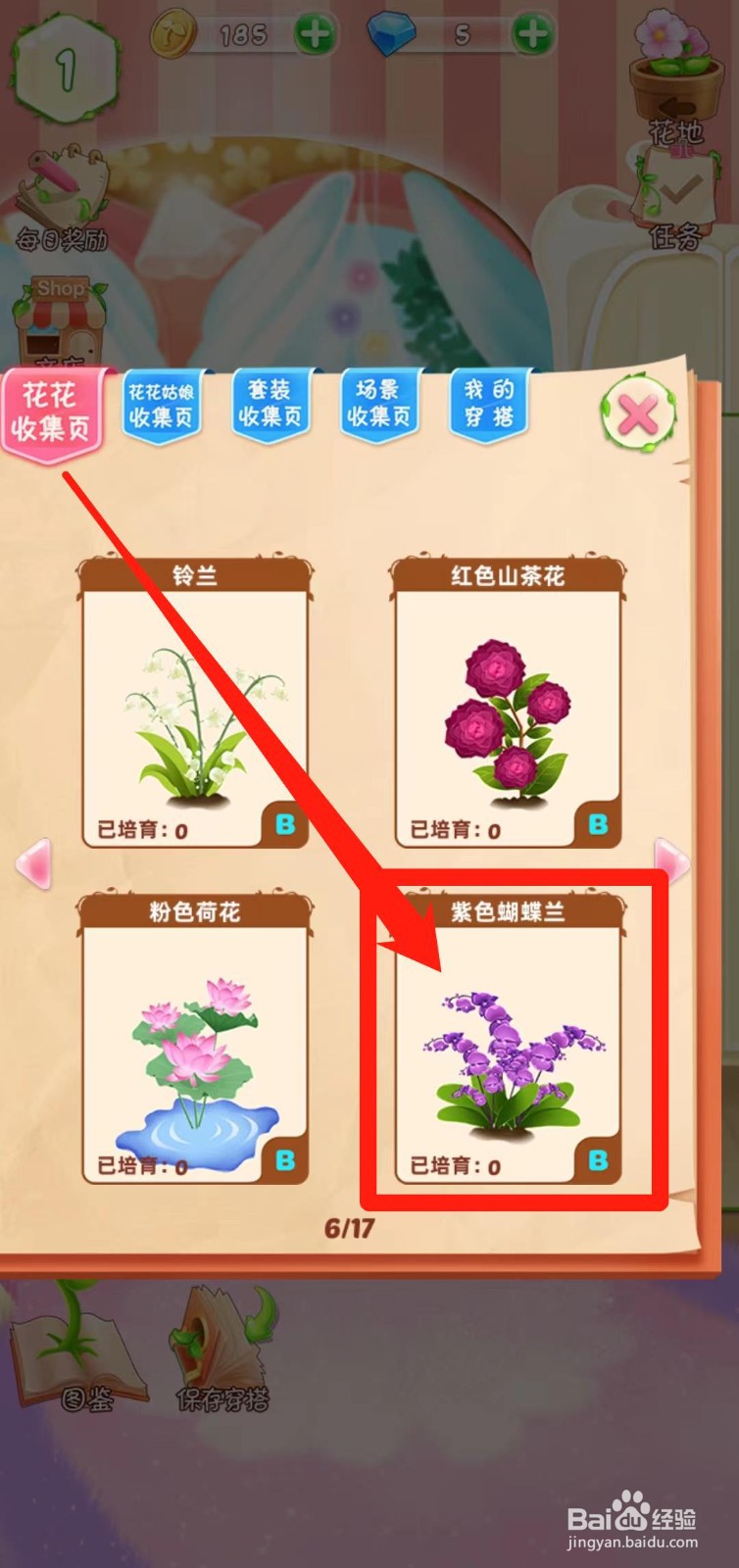 花花姑娘之魔法花园如何查看紫色蝴蝶兰生长速度