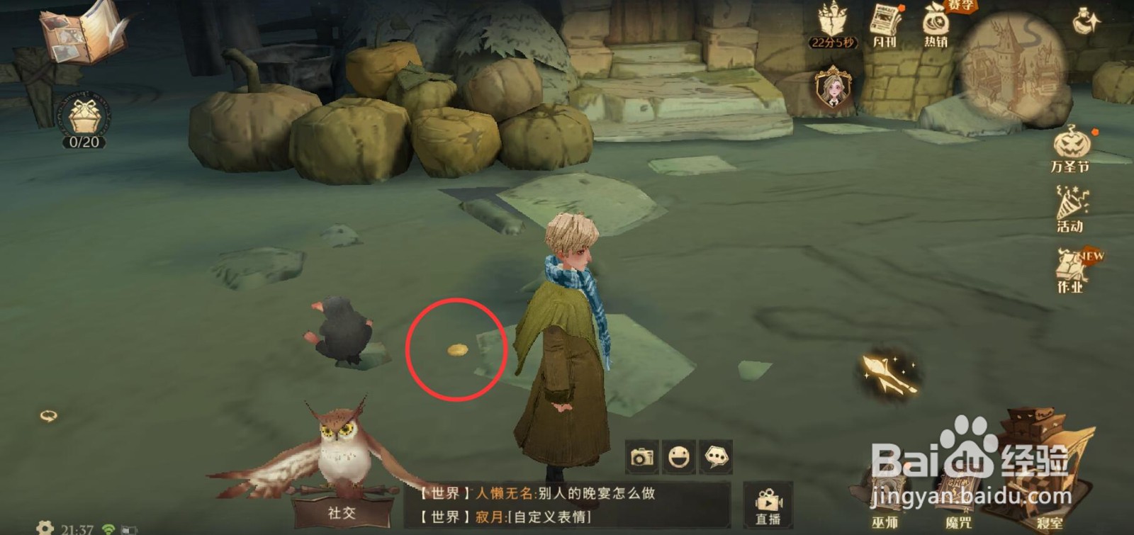 哈利波特魔法觉醒拼图寻宝藏金币线索在哪