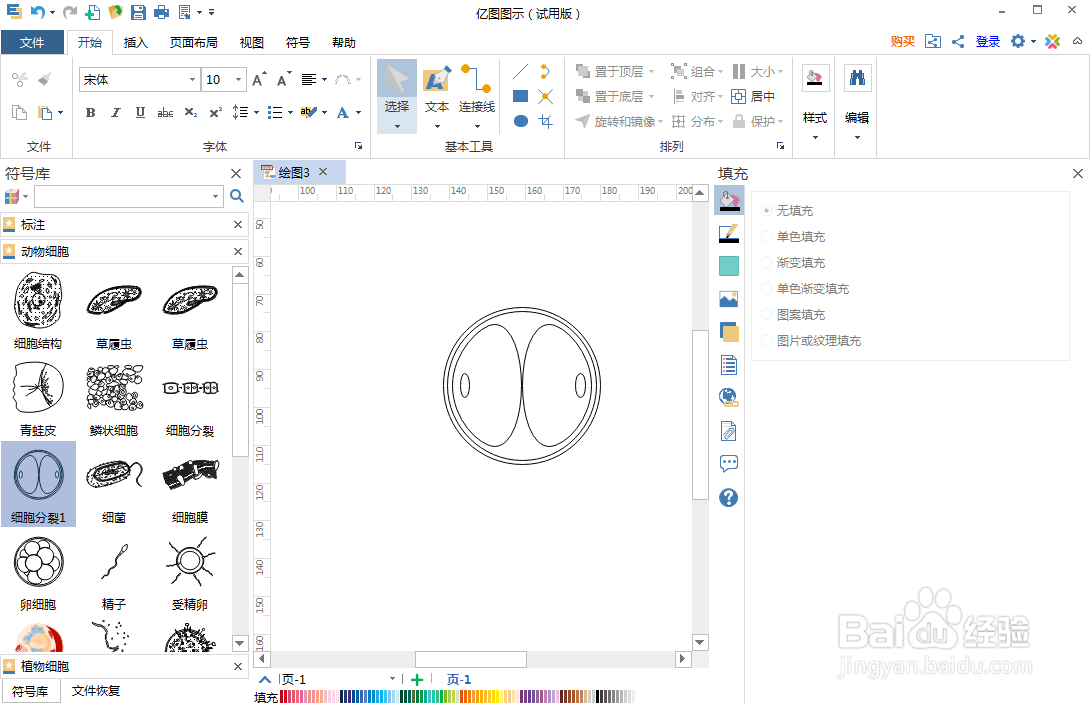 如何在亿图图示中创建细胞分裂示意图