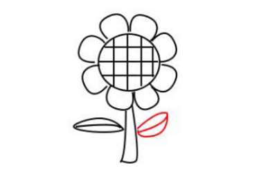 简笔画如何画向日葵