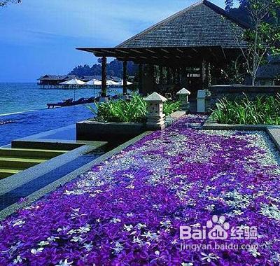 济州岛旅游攻略_济州岛旅游注意事项