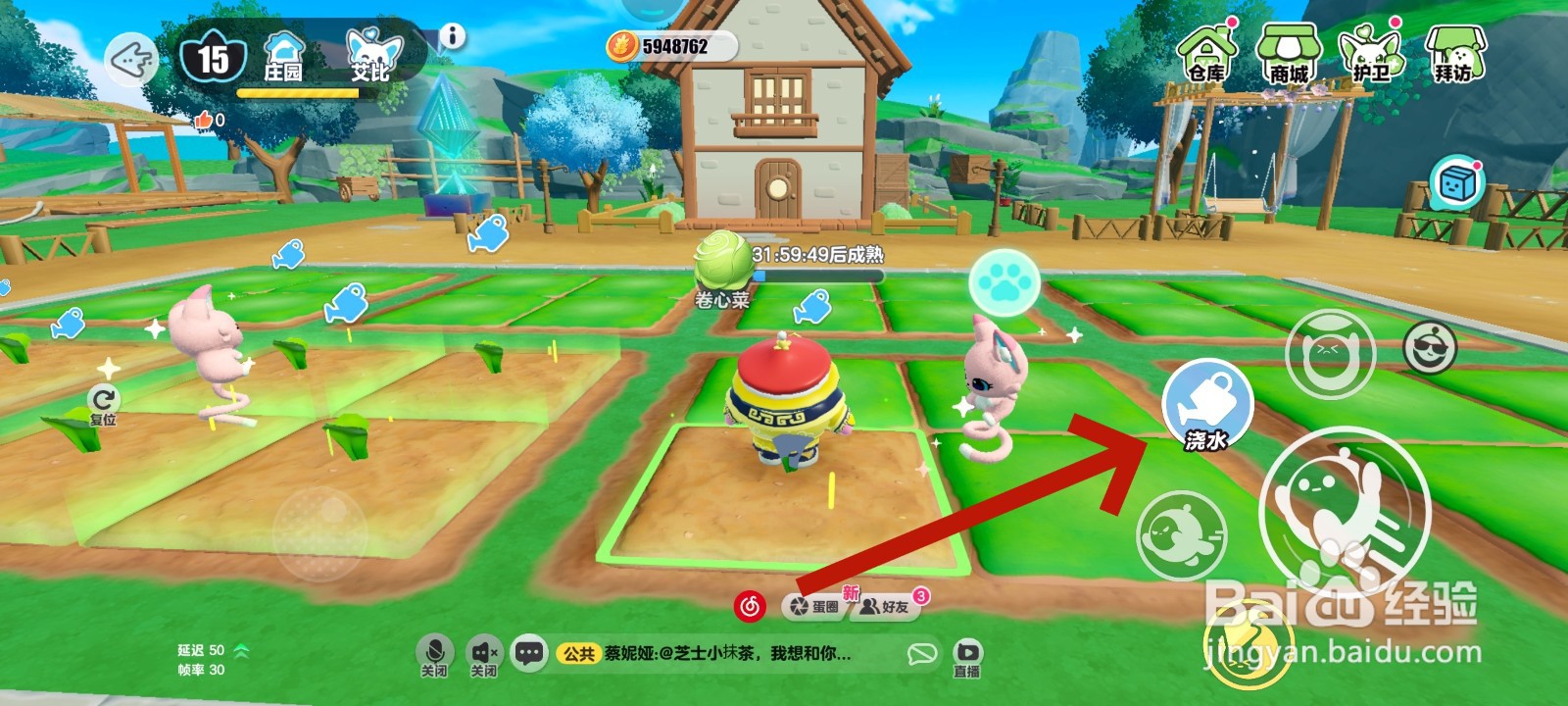 蛋仔派对游戏中给卷心菜浇水的教程