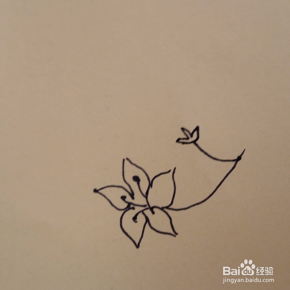 桔梗儿童手工简笔画教程