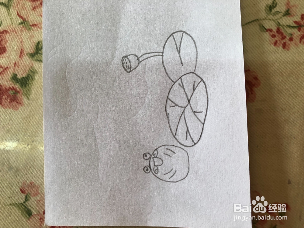 教你画夏日荷塘