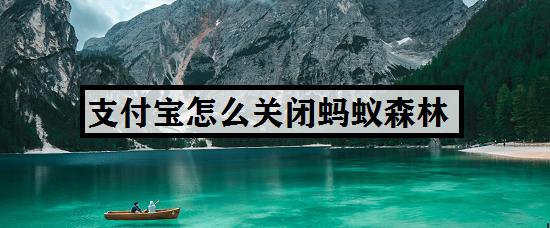 支付宝怎么关闭蚂蚁森林