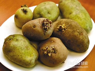 挑选好的马铃薯（土豆）三种方法