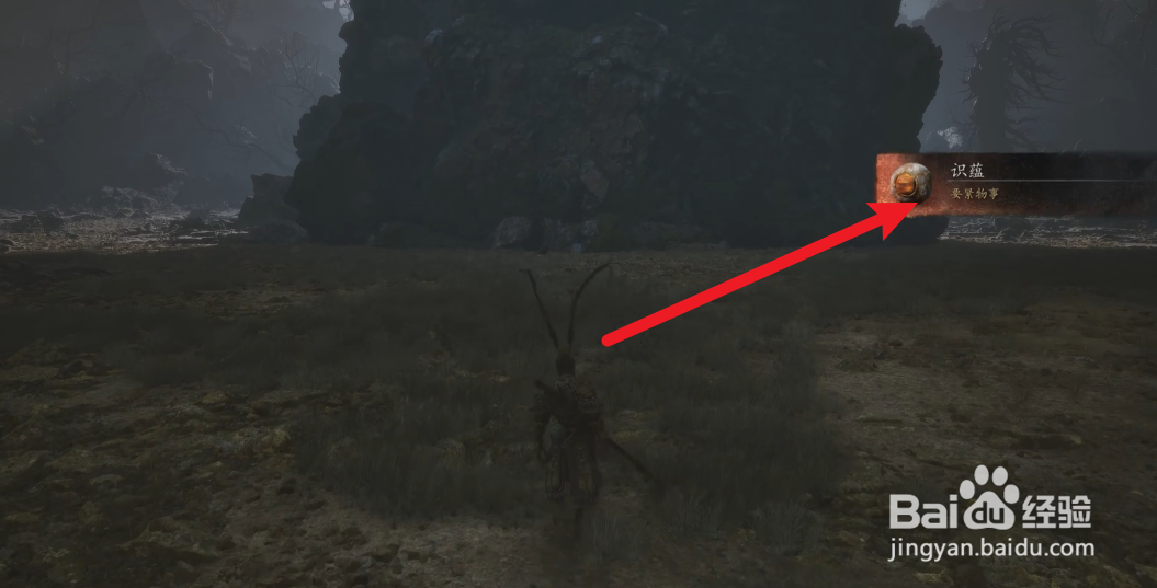 黑神话悟空五蕴中的最后一蕴识蕴获取攻略