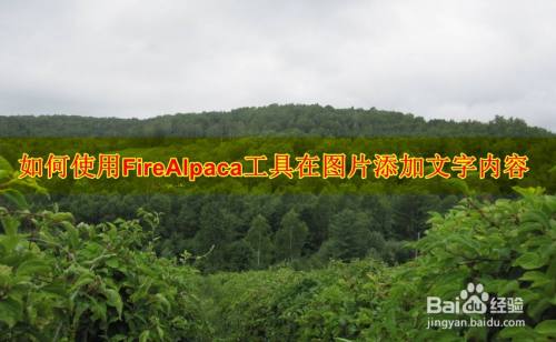 如何使用firealpaca工具在图片添加文字内容 百度经验 如何使用firealpaca工具在图片添加文字内容 百度经验
