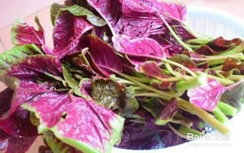红苋菜炒蘑菇