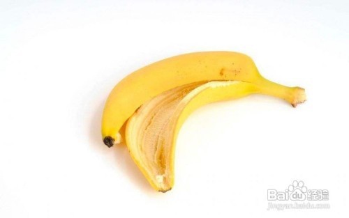 家里如何除蟑螂