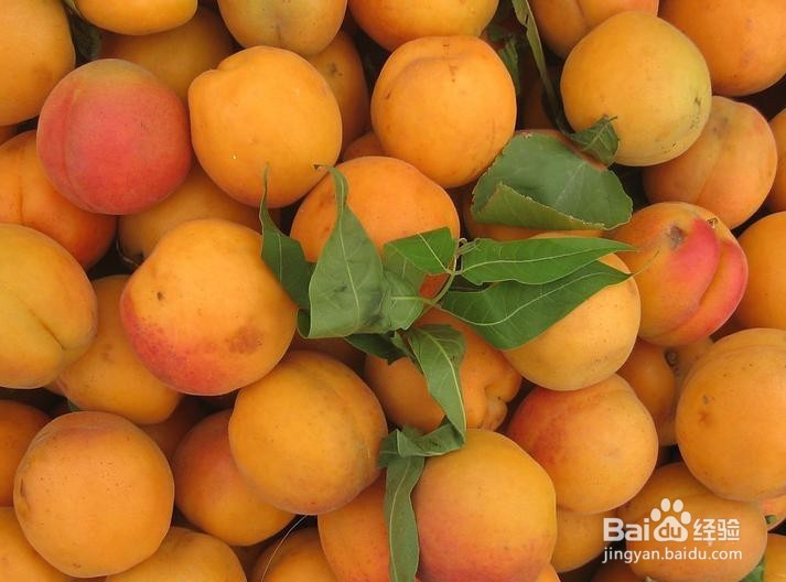 夏天杏子吃不完，教你如何制作美容美味杏子酱！