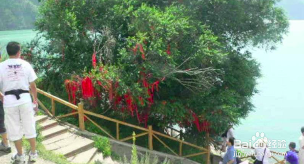 新疆天山天池风景名胜区怎么游玩？