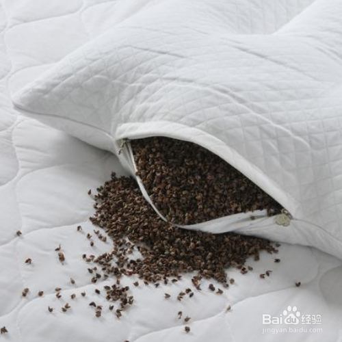荞麦枕头生虫爬满屋怎么解决