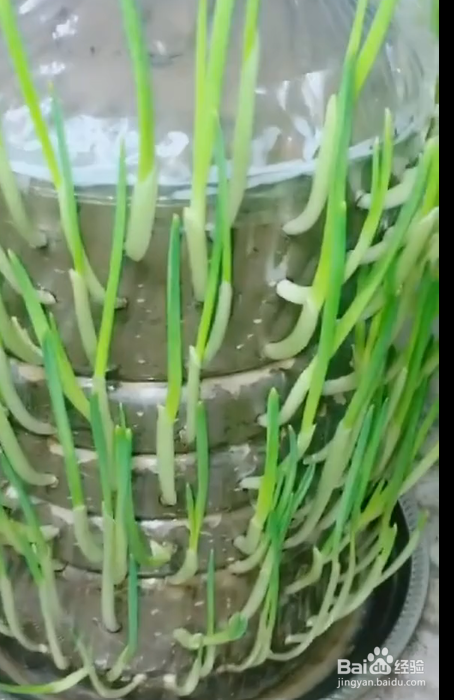 废物瓶子变废为宝