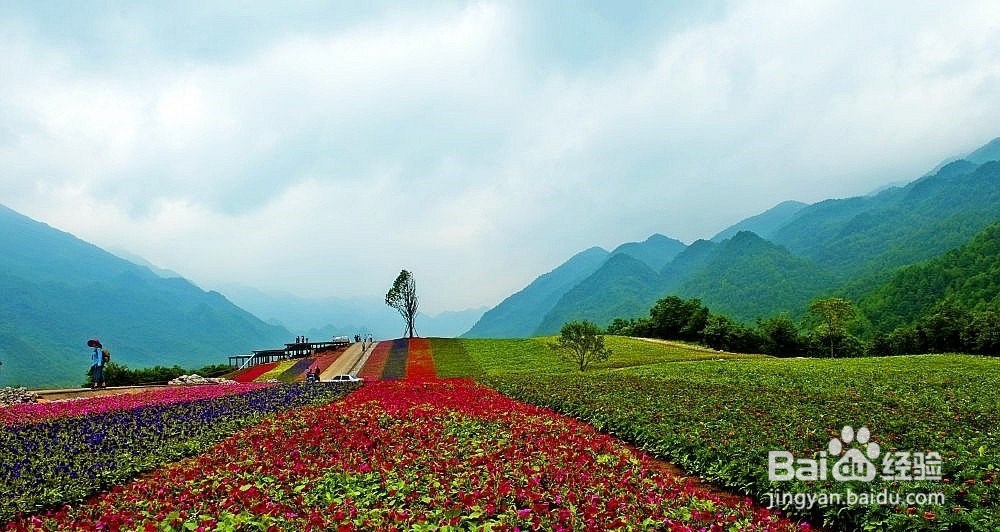 红池坝旅游攻略