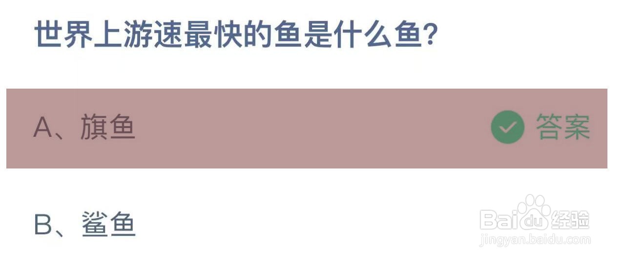 蚂蚁庄园答案世界上游速最快的鱼是什么鱼?