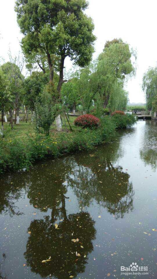 旅游哪个地方最好