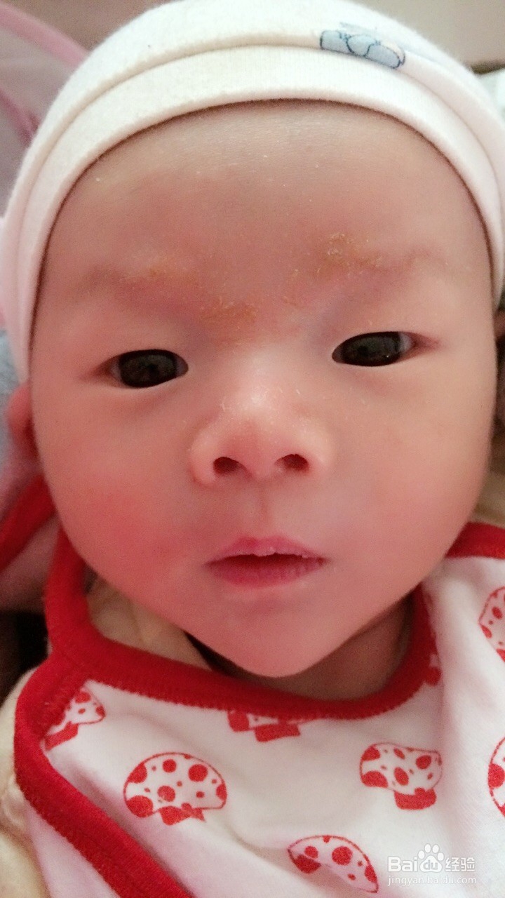 夏季宝宝没胃口还胖？妈妈不妨试试这五道菜