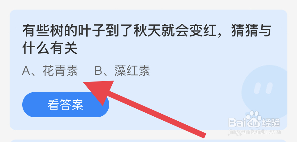 蚂蚁庄园2024.11.23：树到了秋天就会变红?