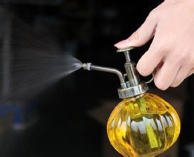 新装修的房子，新家具，如何快速去甲醛？