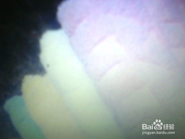 淘米水的功效有哪些