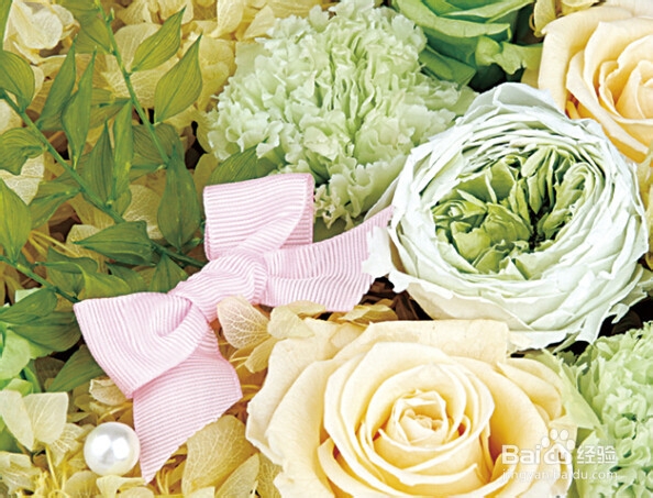 粉红色玫瑰花花语