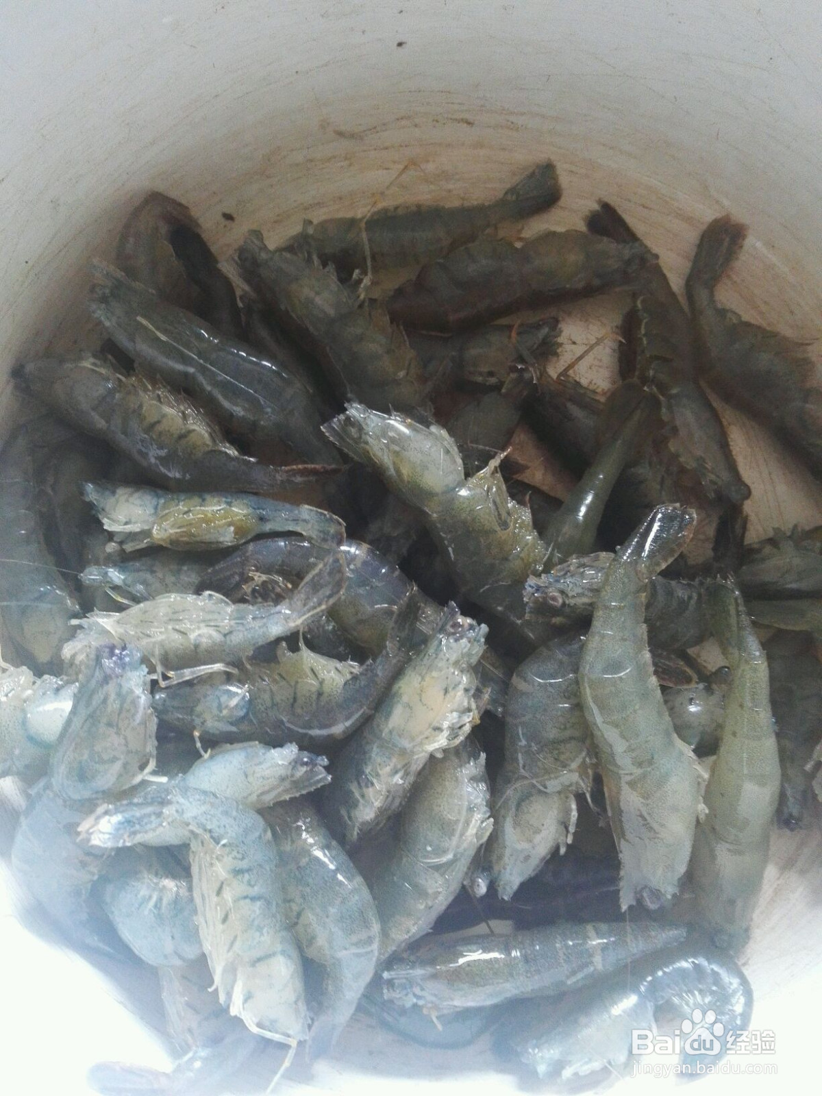 自制烤虾小吃的做法