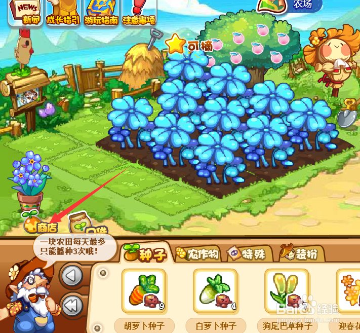 洛克王国苹果怎么得