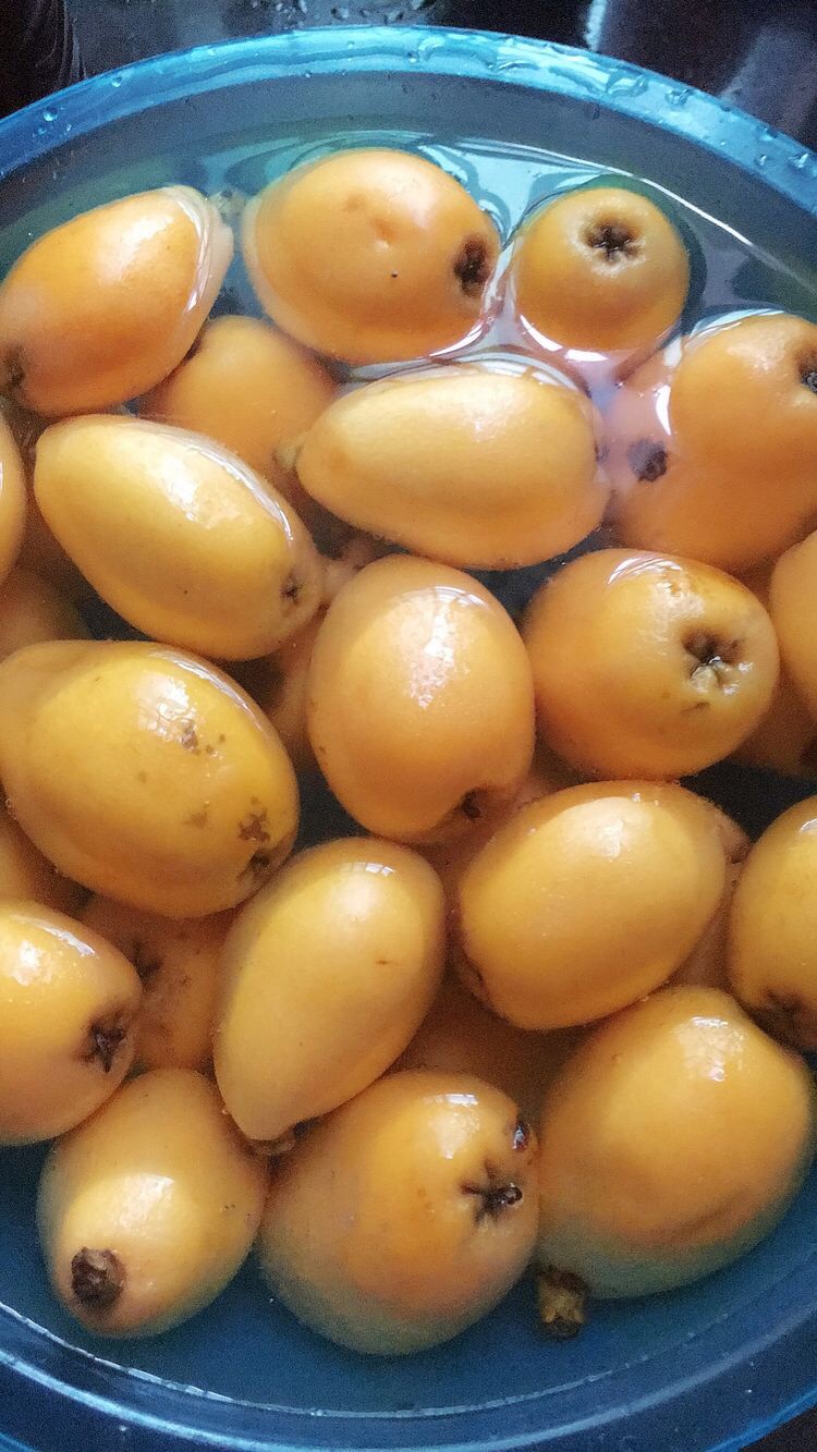 蜜炼枇杷膏 不仅口感美味,还可以止咳哦