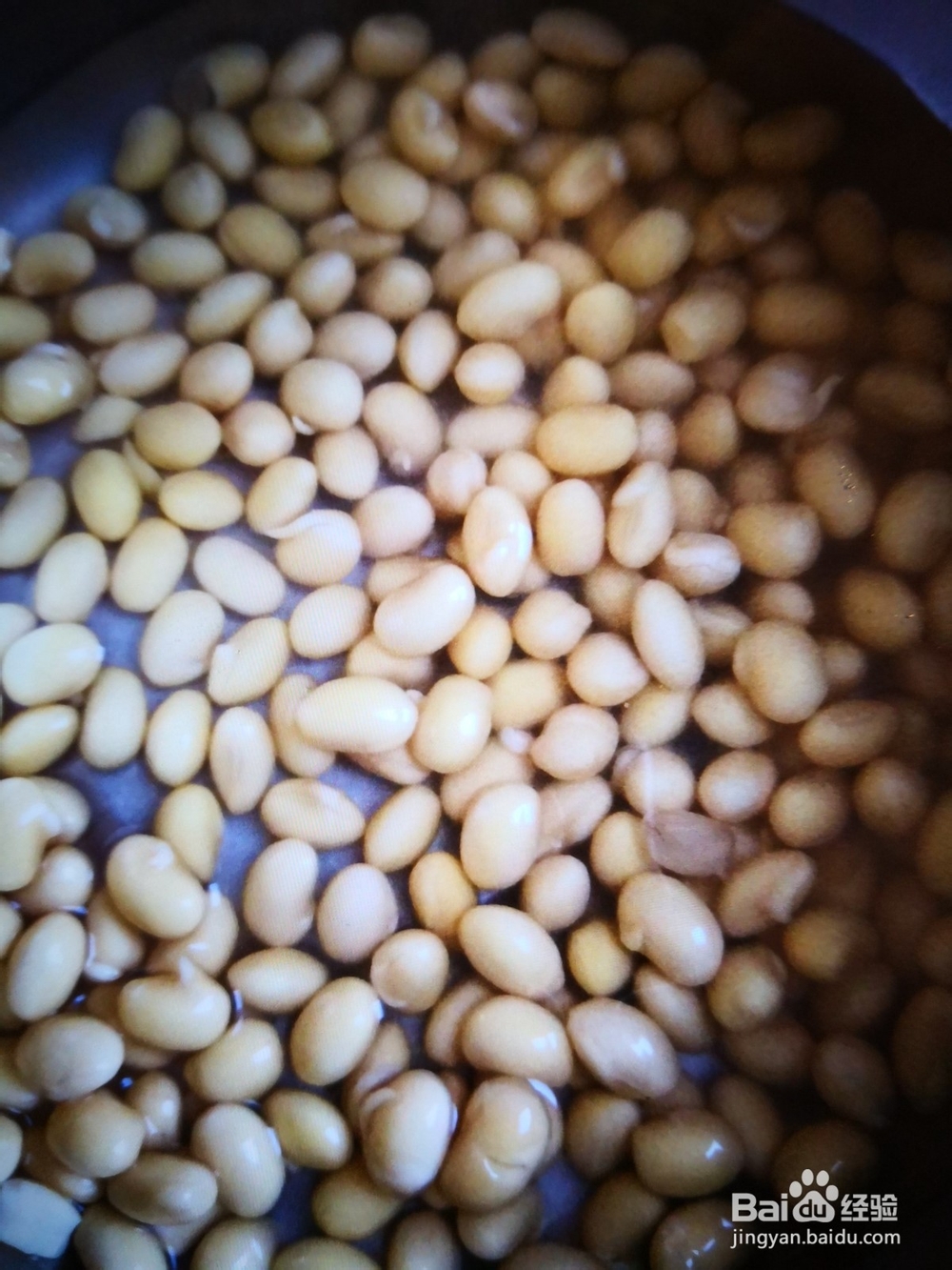 怎么做黄豆蒸马哈鱼