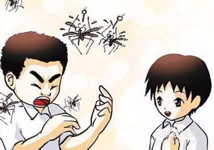 如何有效正确防蚊