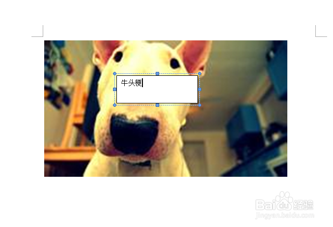 word中的图片怎么插入文字