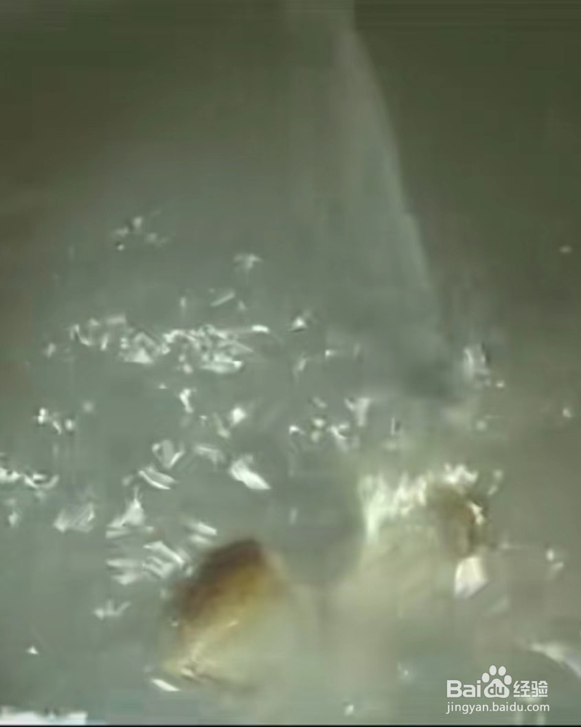筒骨玉米胡萝卜汤