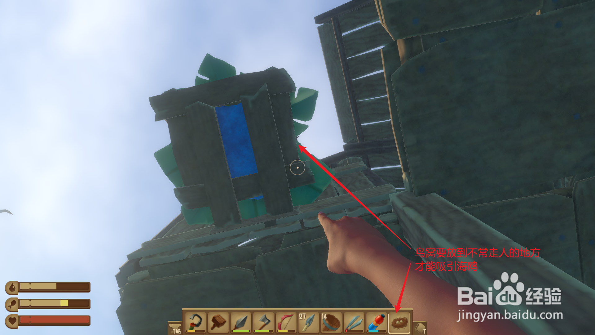 raft鸟巢怎么能吸引到鸟?