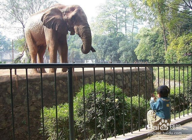 公共场所小孩的安全如何保障？