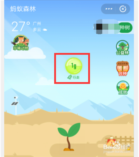支付宝蚂蚁森林怎么获得绿色能量