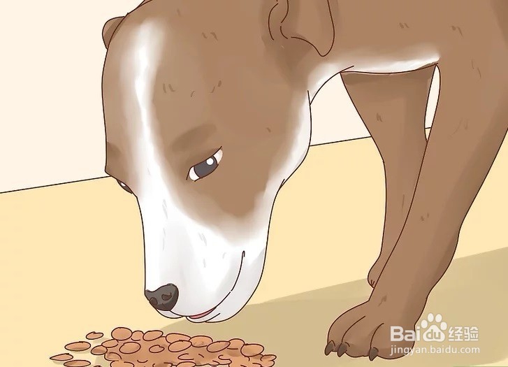 怎样才能增加狗狗的食欲?