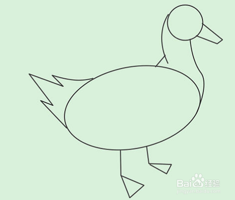 怎样画鸭子如何画白鸭子铅笔画