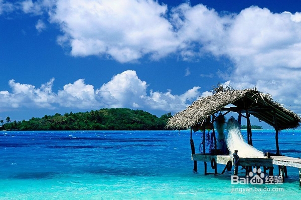 怎么预防花粉过敏？花粉过敏怎么办？防过敏偏方