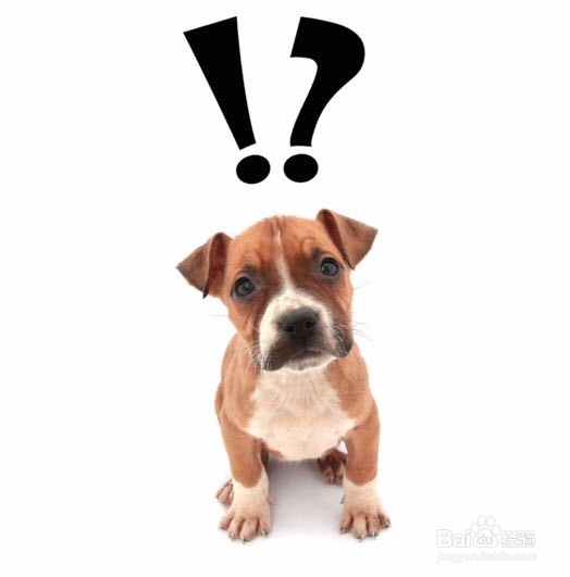 word实用的操作技巧