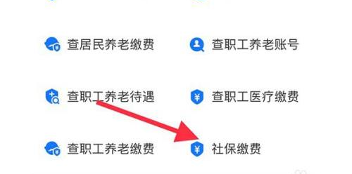 社保交哪个档次量划算，怎么选缴费档次
