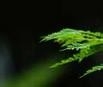 家有主妇妙招无穷55