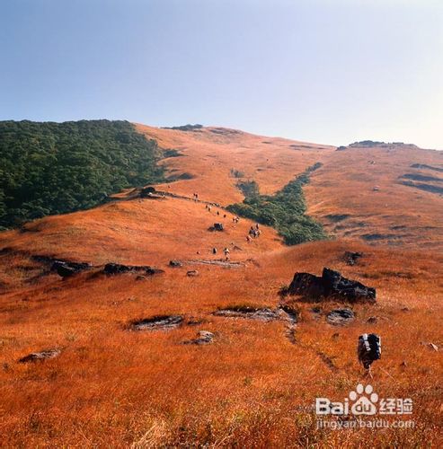 在广东看落霞与仙鹤齐飞舞