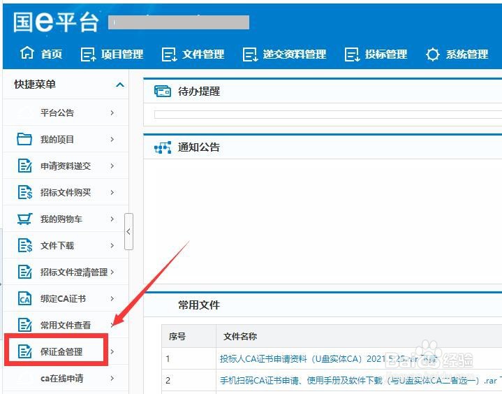 国E平台招标项目的保证金账户在哪里查看下载