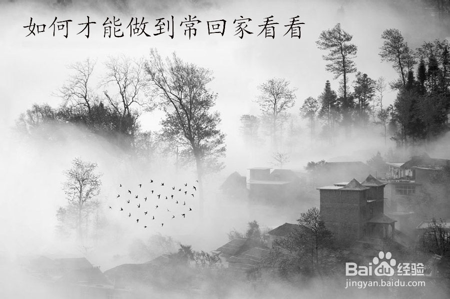 如何才能做到常回家看看